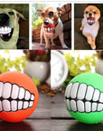 Dog Chew Toy Balls