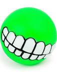 Dog Chew Toy Balls